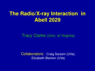 The Radio/X-ray Interaction in Abell 2029