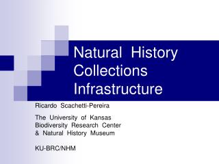 Natural History Collections Infrastructure