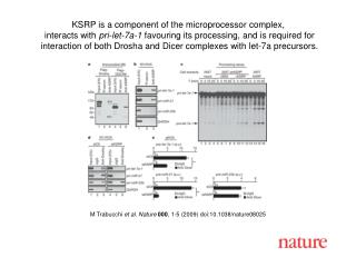 M Trabucchi et al. Nature 000 , 1- 5 (2009) doi:10.1038/nature080 25