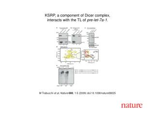 M Trabucchi et al. Nature 000 , 1- 5 (2009) doi:10.1038/nature080 25