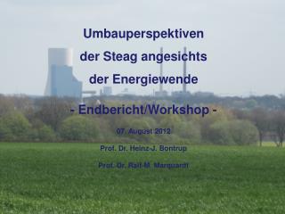 Umbauperspektiven der Steag angesichts der Energiewende - Endbericht/Workshop - 07. August 2012
