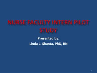 NURSE FACULTY INTERN PILOT STUDY