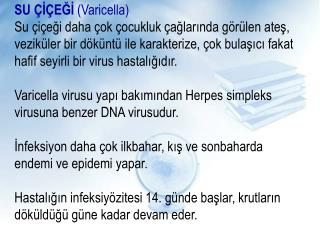 Kızamıkçık= Rubella