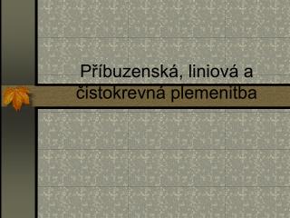 Příbuzenská, liniová a čistokrevná plemenitba