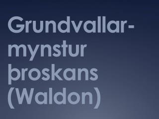 Grundvallar - mynstur þroskans ( Waldon )