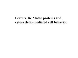 Lecture 16 Motor proteins and cytoskeletal-mediated cell behavior