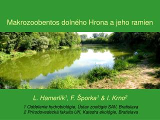 L. Hamerlík 1 , F. Šporka 1 &amp; I. Krno 2