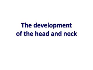 The development of the head and neck