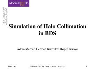Simulation of Halo Collimation in BDS