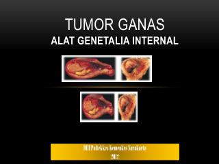 Tumor Ganas A LAT GENETALIA INTERNAL