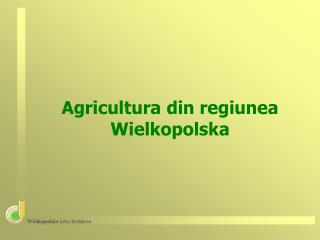 Agricultura din regiunea Wielkopolsk a
