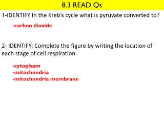 8.3 READ Qs