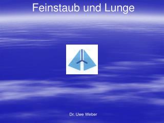 Feinstaub und Lunge