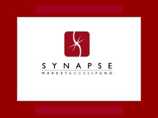 The Synapse Fund Vision