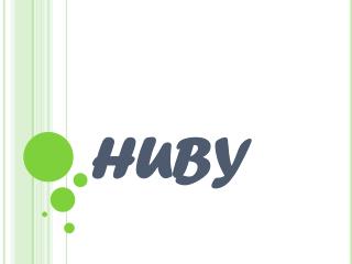 HUBY