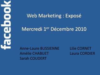 Web Marketing : Exposé Mercredi 1 er Décembre 2010
