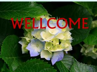 WELLCOME