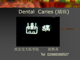 Dental Caries ( 龋病 )