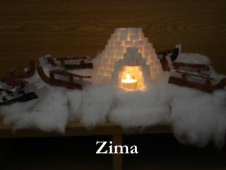 Zima