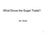 What Drove the Sugar Trade