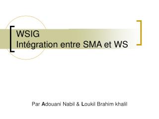 WSIG Intégration entre SMA et WS
