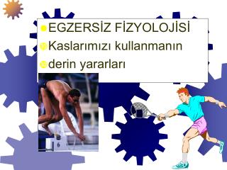 EGZERSİZ FİZYOLOJİSİ Kaslarımızı kullanmanın derin yararları