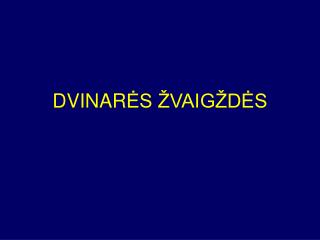 DVINAR ĖS ŽVAIGŽDĖS