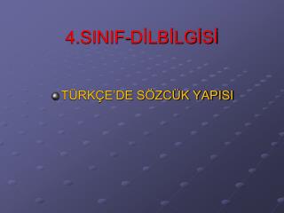 4.SINIF-DİLBİLGİSİ