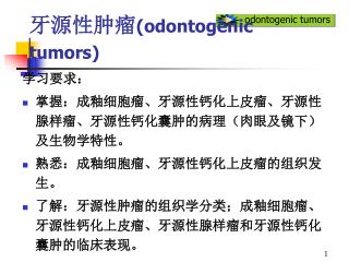 牙源性肿瘤 ( odontogenic tumors)