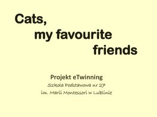 Cats, my favourite friends
