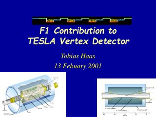 F1 Contribution to TESLA Vertex Detector