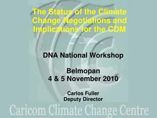 DNA National Workshop Belmopan 4 &amp; 5 November 2010 Carlos Fuller Deputy Director