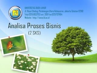 Analisa Proses Bisnis (2 SKS)