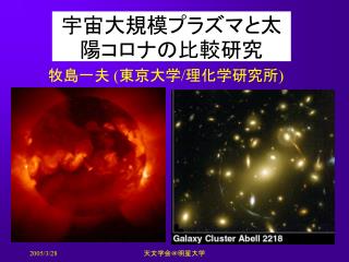 宇宙大規模プラズマと太陽コロナの比較研究