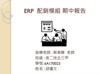 ERP 配銷模組 期中報告