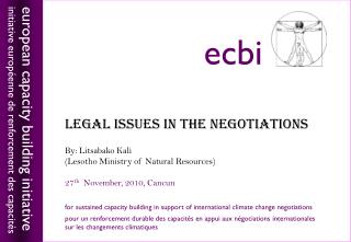 LEGAL ISSUES IN THE NEGOTIATIONS By: Litsabako Kali (Lesotho Ministry of Natural Resources)