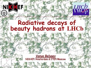 Radiative decays of beauty hadrons at LHCb