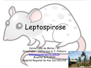 Leptospirose