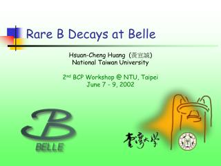 Rare B Decays at Belle