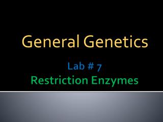 Lab # 7 Restriction Enzymes
