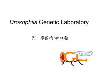 Drosophila Genetic Laboratory