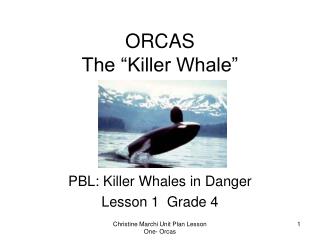 ORCAS The “Killer Whale”