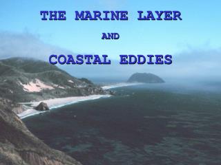 THE MARINE LAYER AND COASTAL EDDIES