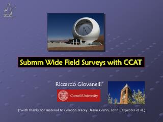 Submm Wide Field Surveys with CCAT
