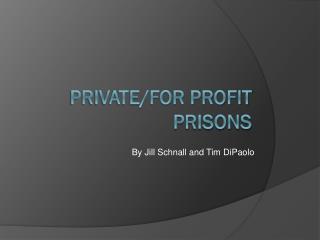 Private/for profit prisons