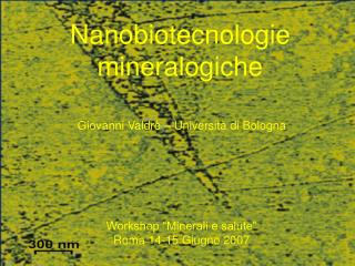 Nanobiotecnologie mineralogiche