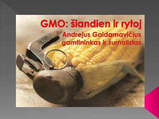 GMO: šiandien ir rytoj