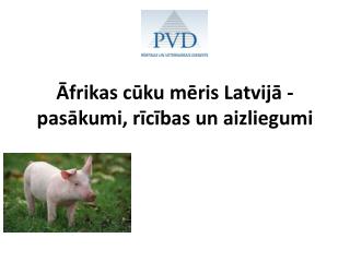 Āfrikas cūku mēris Latvijā - pasākumi, rīcības un aizliegumi