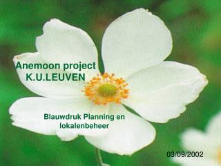 Anemoon project K.U.LEUVEN