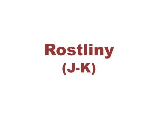 Rostliny